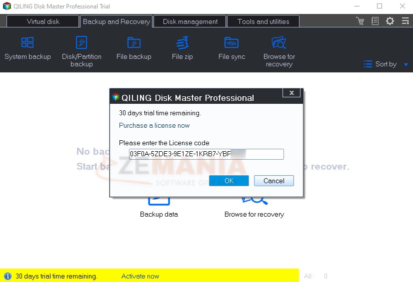 register QILING Disk Master Professional